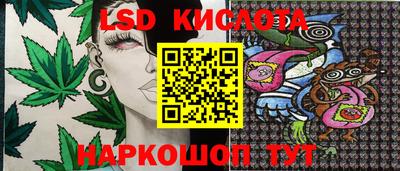 индика Ирбит