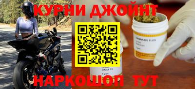 индика Ирбит