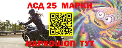 индика Ирбит