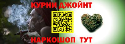 индика Ирбит