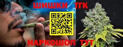 индика Ирбит