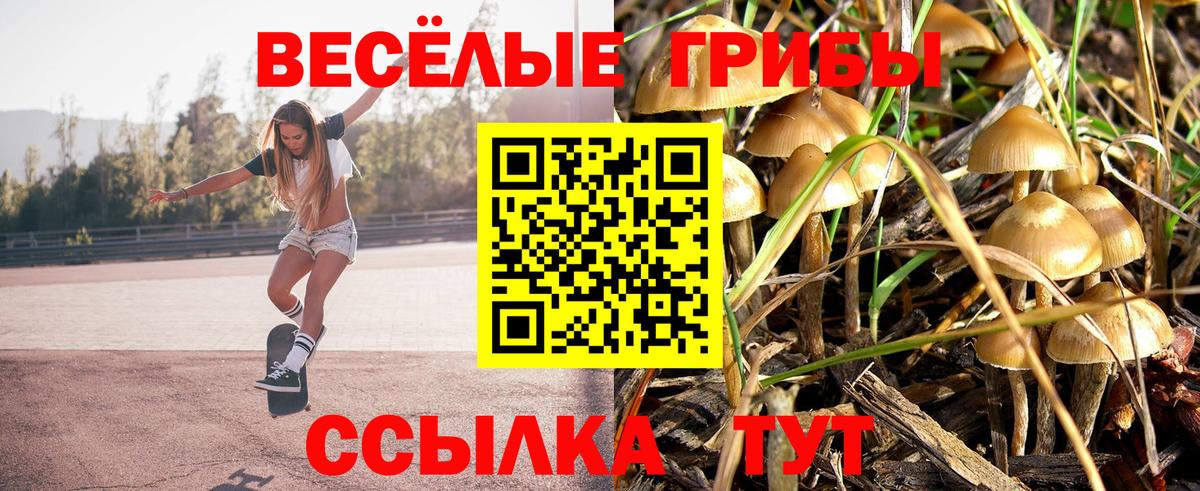 Псилоцибиновые грибы мухоморы Шелехов