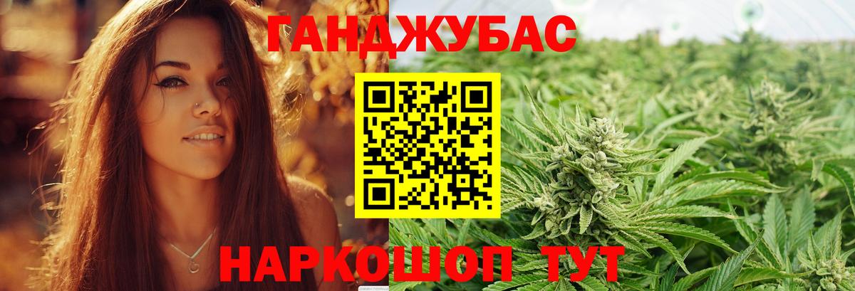 Канабис план  Бошки марихуана план  Шелехов  Вход с VPN  Бошки марихуана гибрид 